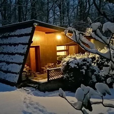 Chalpa Na Skarpie Villa Meszna Exterior photo