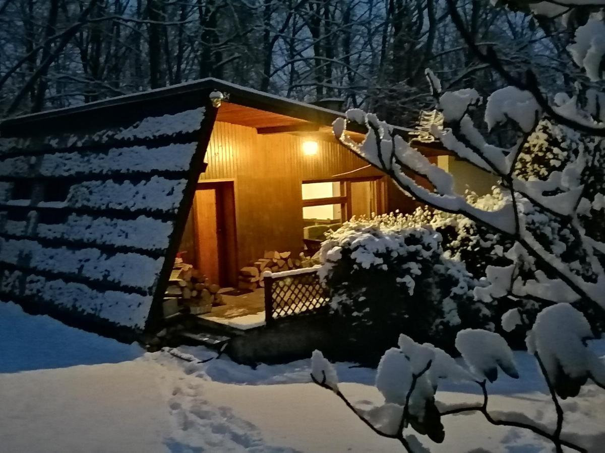 Chalpa Na Skarpie Villa Meszna Exterior photo